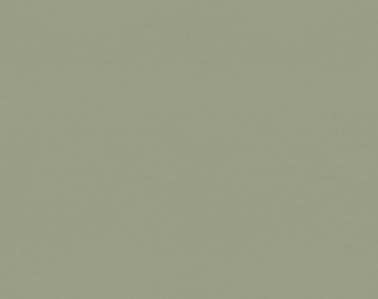 [1001111114_5] Surestep balance - 173742 sage